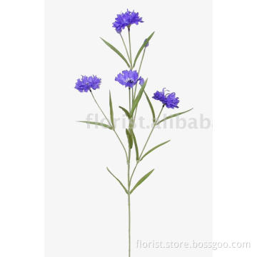Cornflower